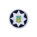 Кокарда поліції кругла,кольорова 0200 фото