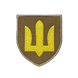 Шеврон ЗСУ Сухопутні війська, койот 0239 фото