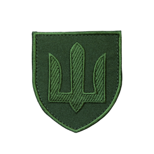 Шеврон ЗСУ Сухопутні війська, олива 0241 фото