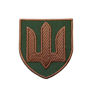 Шеврон Медичні сили, олива 0243 фото
