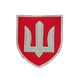 Шеврон ЗСУ Військова служба правопорядку, кольоровий 0251 фото