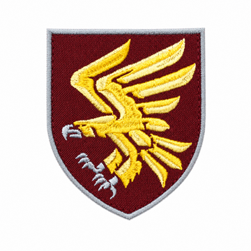 Шеврони ЗСУ