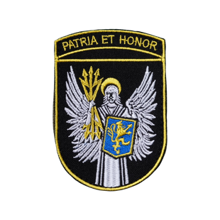 Шеврон ВІТІ Patria et honor 0070 фото