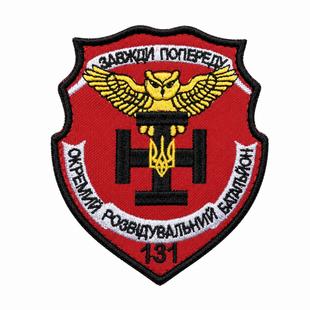 Шеврон 131 окремий розвідувальний батальйон 0520 фото