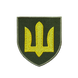 Шеврон ЗСУ Сухопутні війська, олива 0237 фото